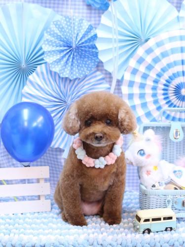 20231102フーちゃん